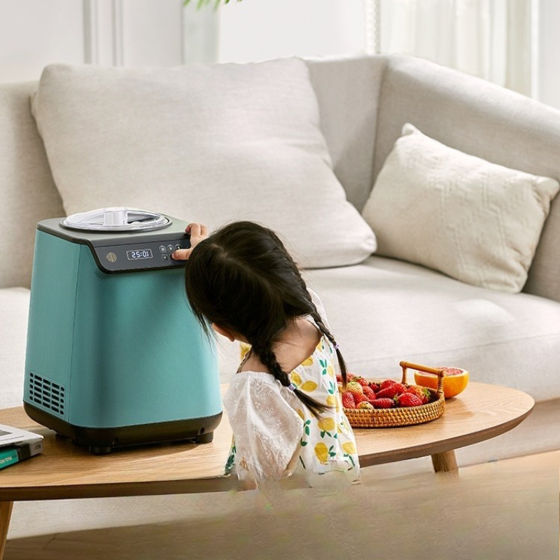Home Cooking Business - Thuis en zakelijk dual-purpose automatische snelle